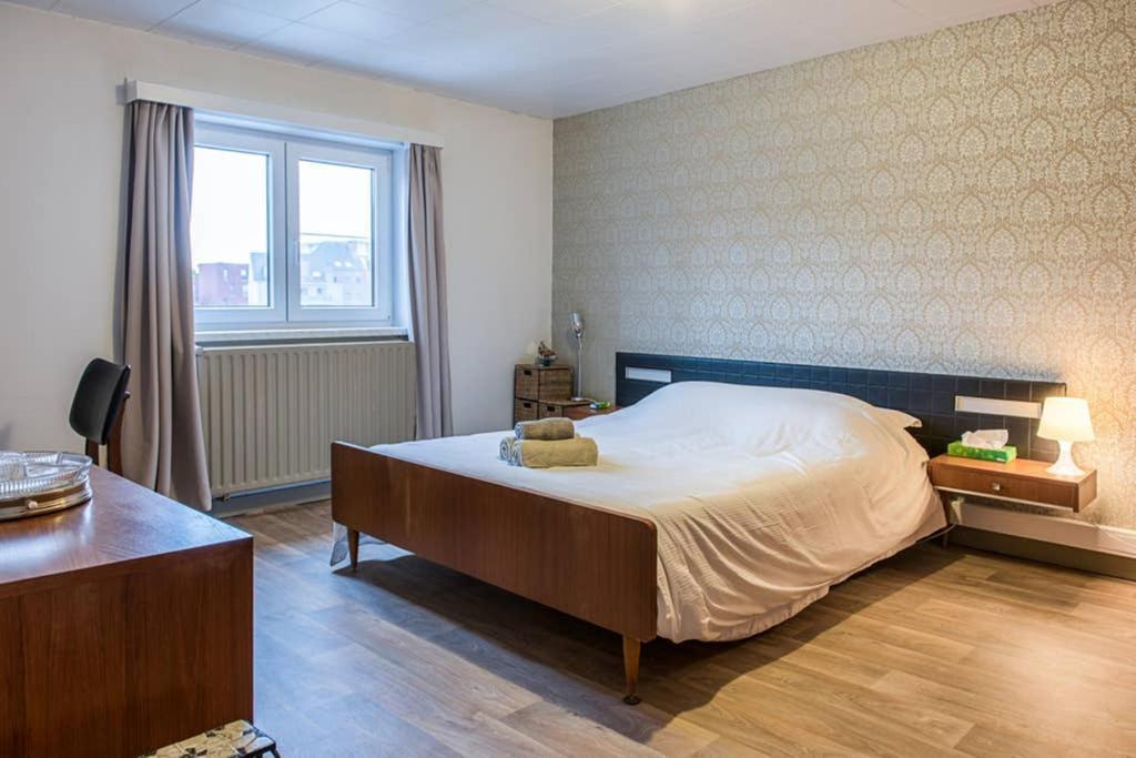Vakantiewoning In Mol Centrum Met Eigen Bar "Casacuriosa" Εξωτερικό φωτογραφία