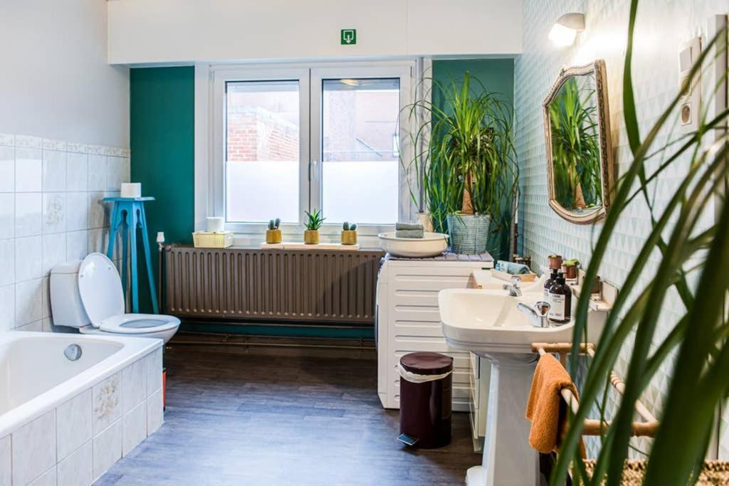 Vakantiewoning In Mol Centrum Met Eigen Bar "Casacuriosa" Εξωτερικό φωτογραφία